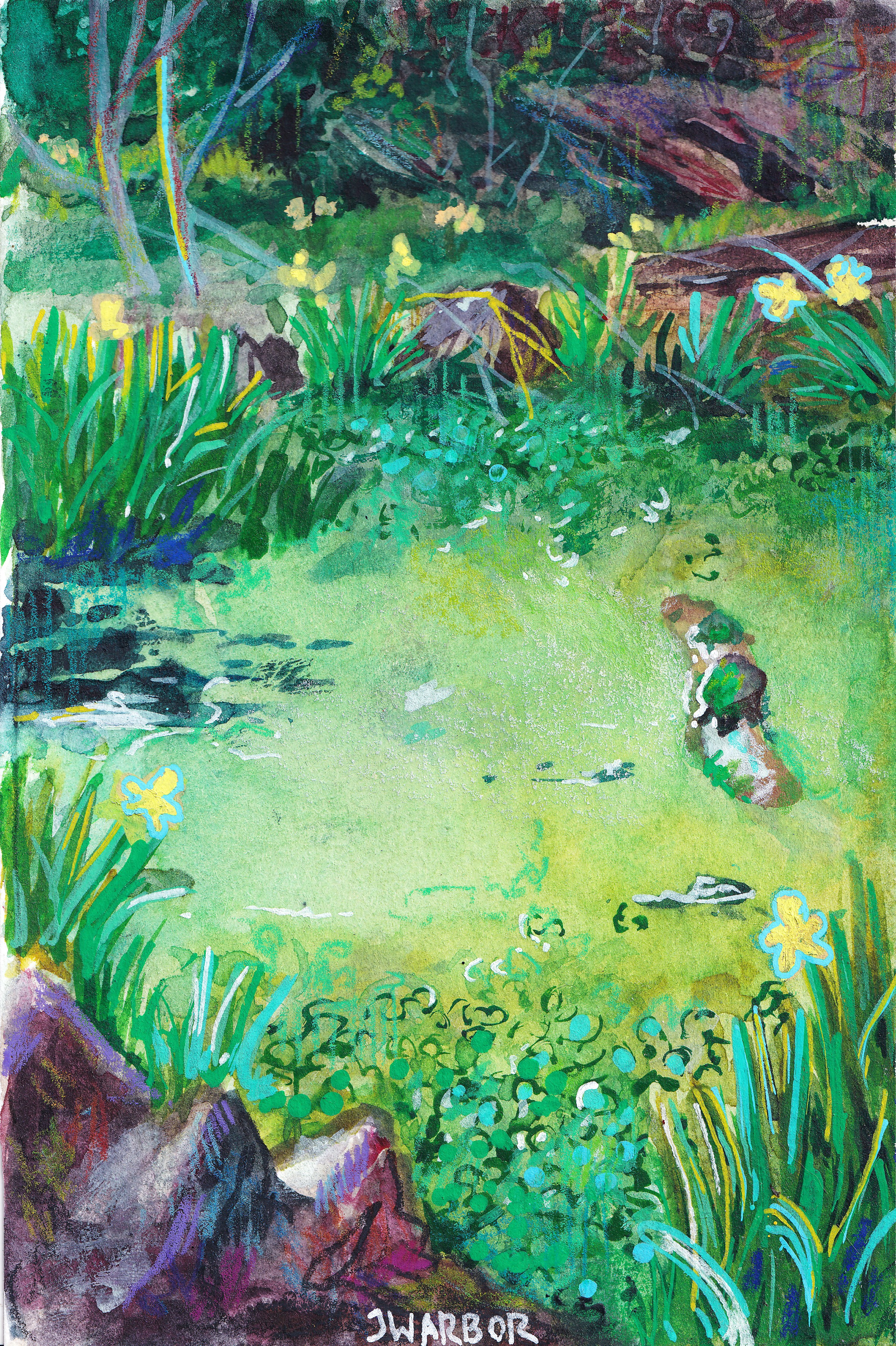 Glendinning Rock Garden